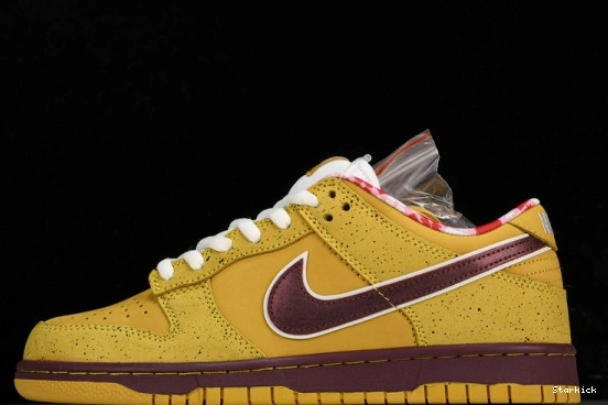  SB Dunk Yellow Lobster 313170-137566 Nike Low 0331